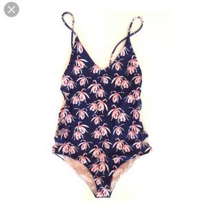 Blue orchid ACACIA FLORENCE